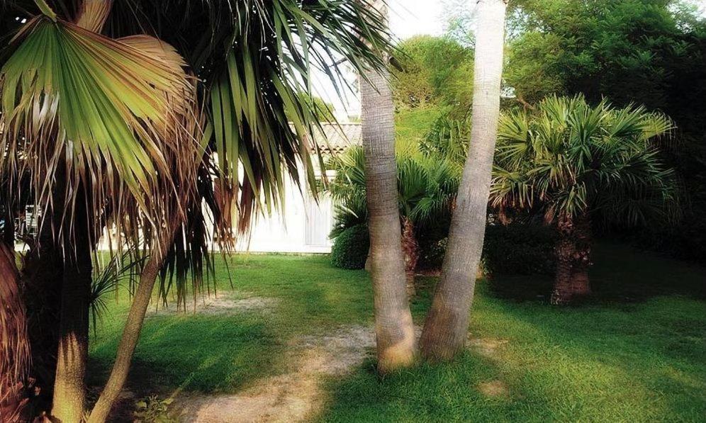 Villa Aloha Antibes Dış mekan fotoğraf
